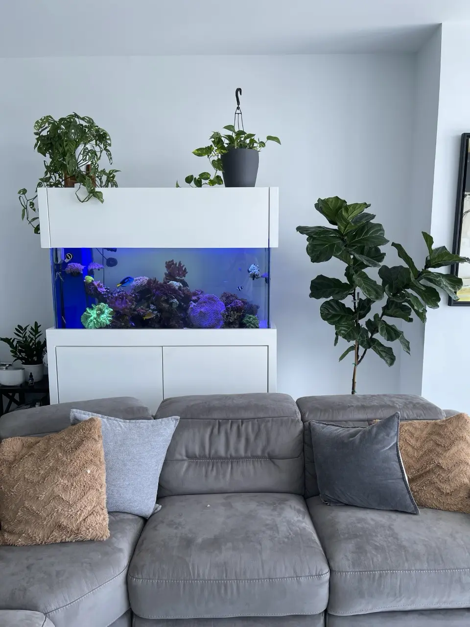 Modern residential reception area with a large tree, representative of the upscale spaces our residential clients maintain