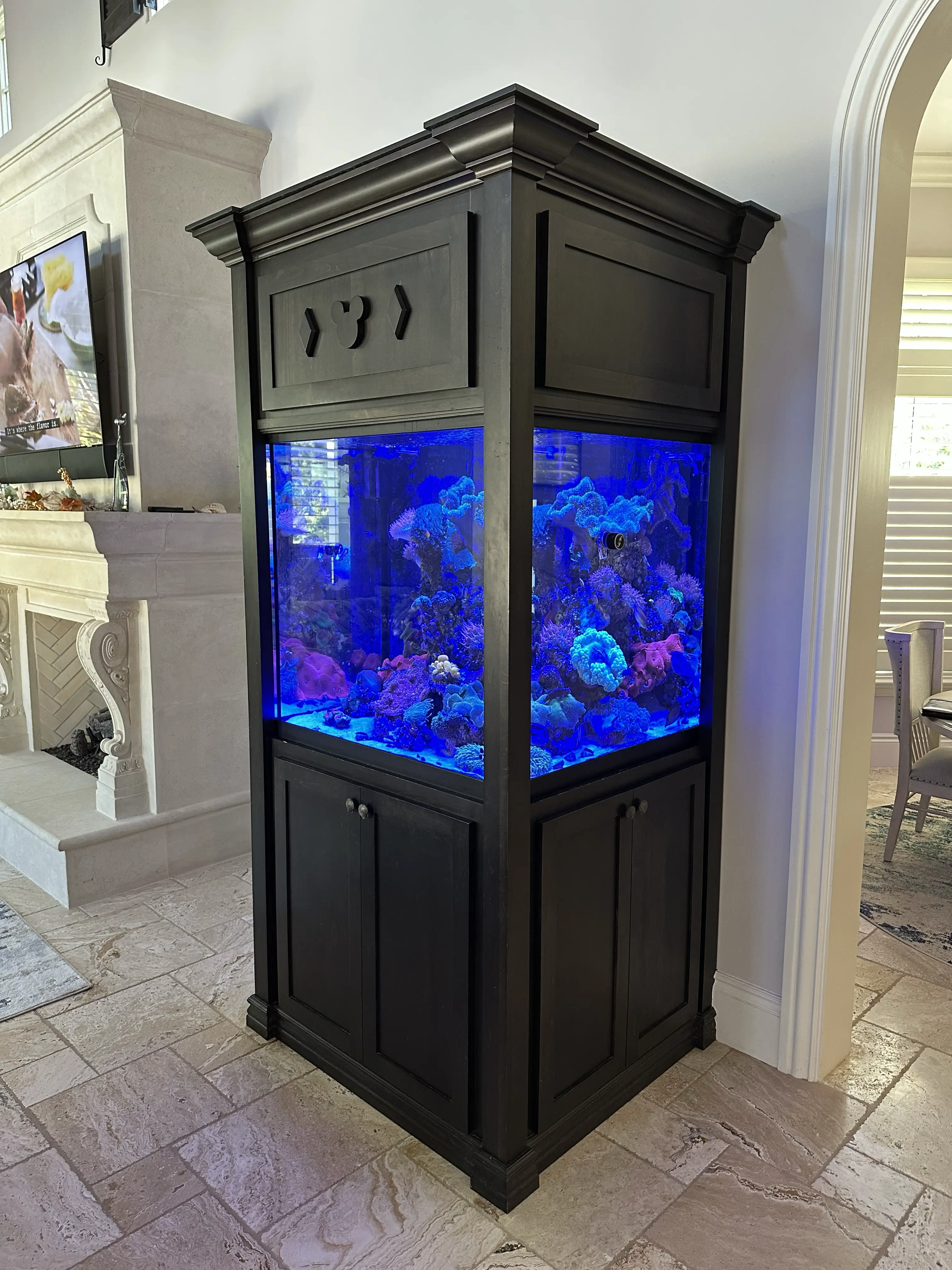 Technician performing routine maintenance on a saltwater aquarium