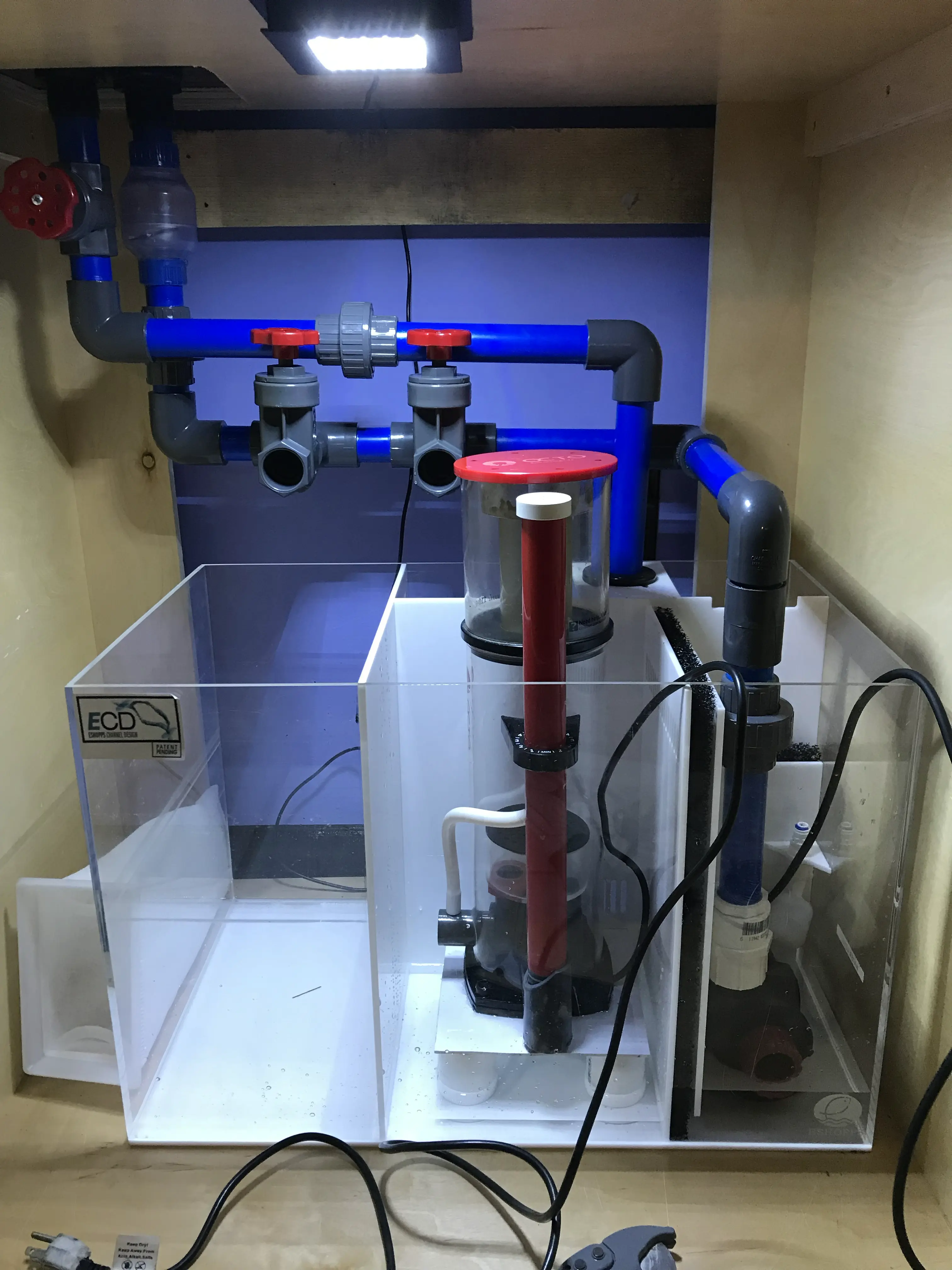 Custom aquarium plumbing setup behind a display tank