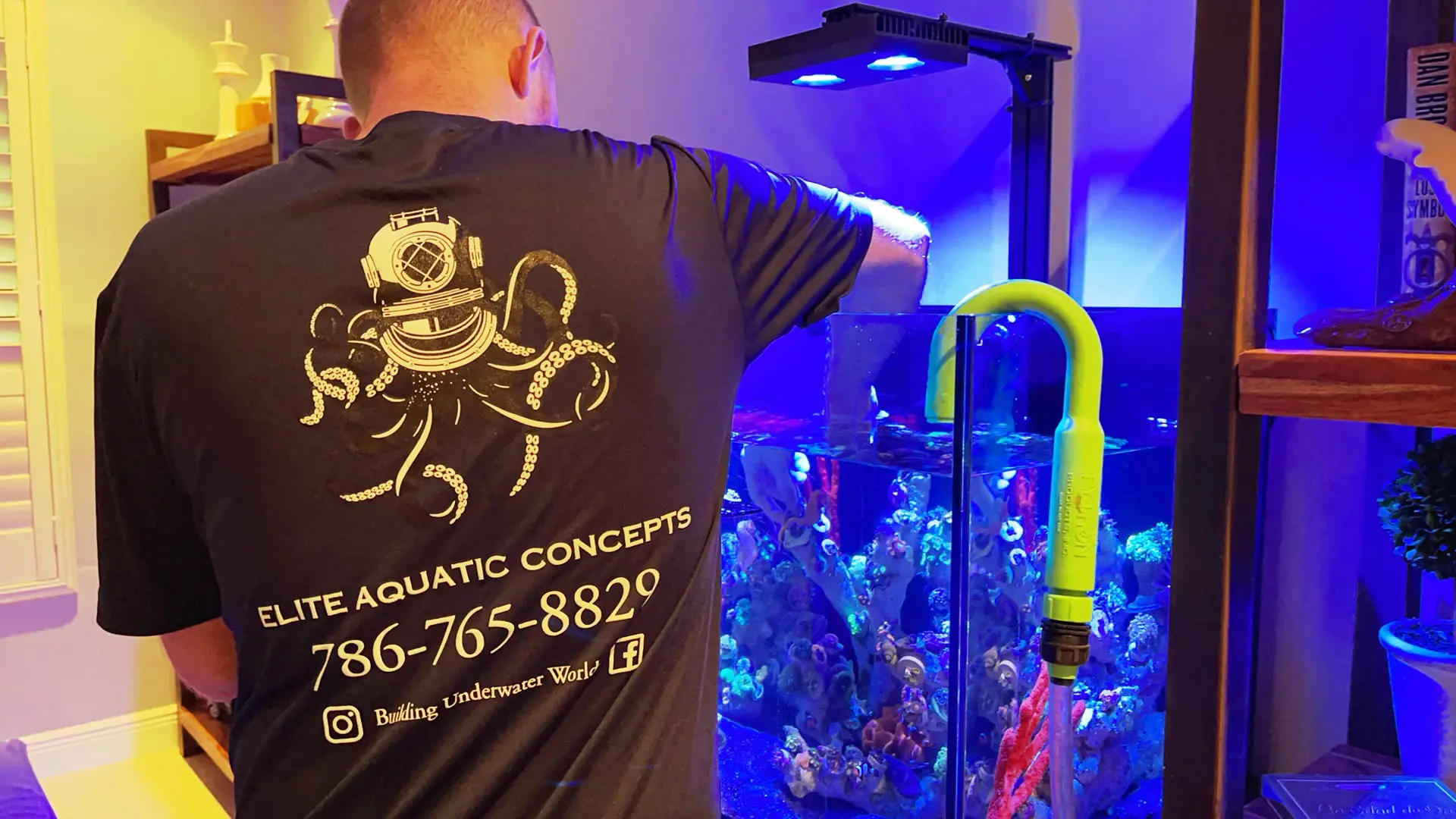 Aquarium service technician inspecting a client's saltwater tank during a quality assessment