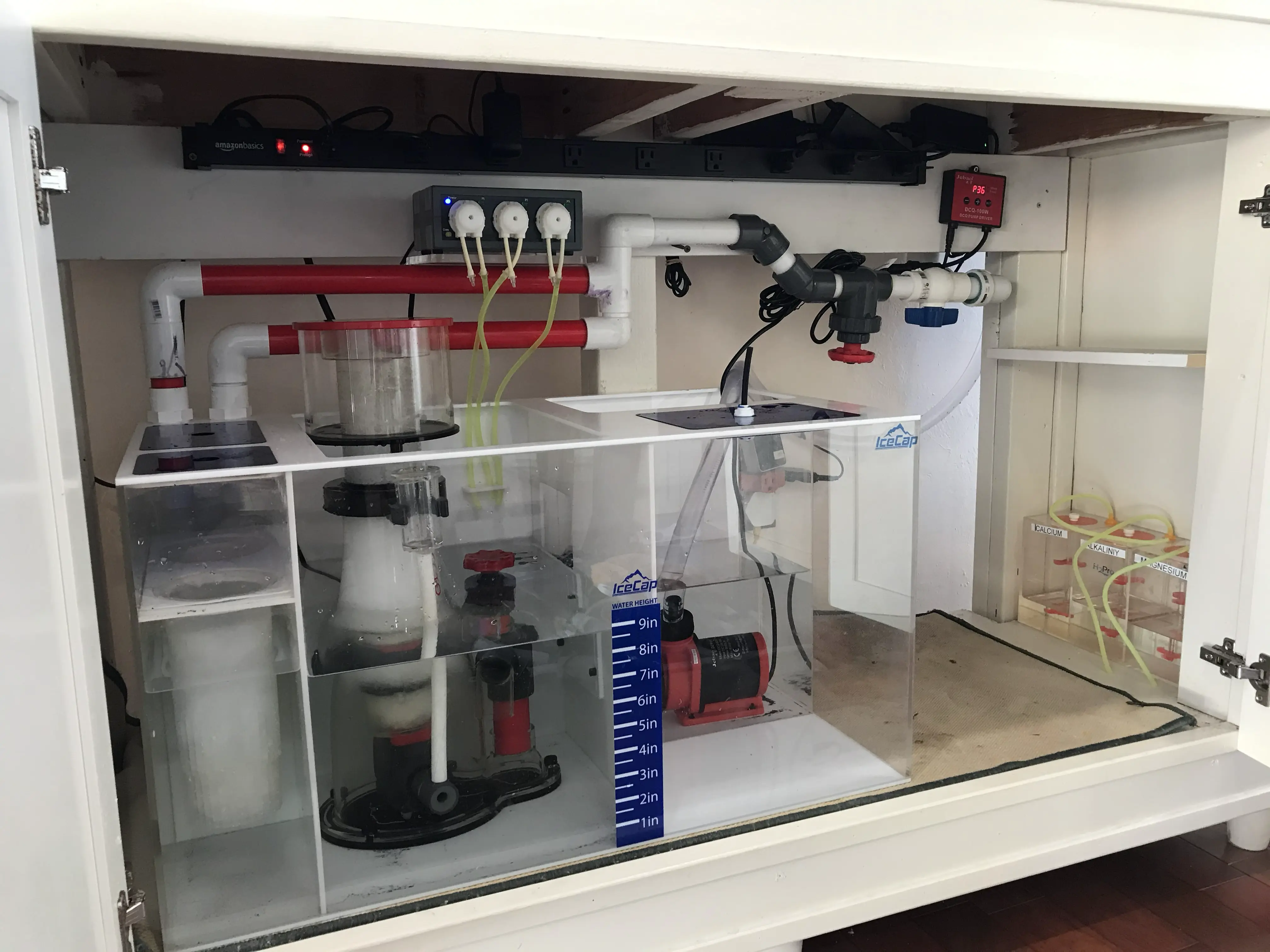 Technician reviewing an aquarium system with custom plumbing design