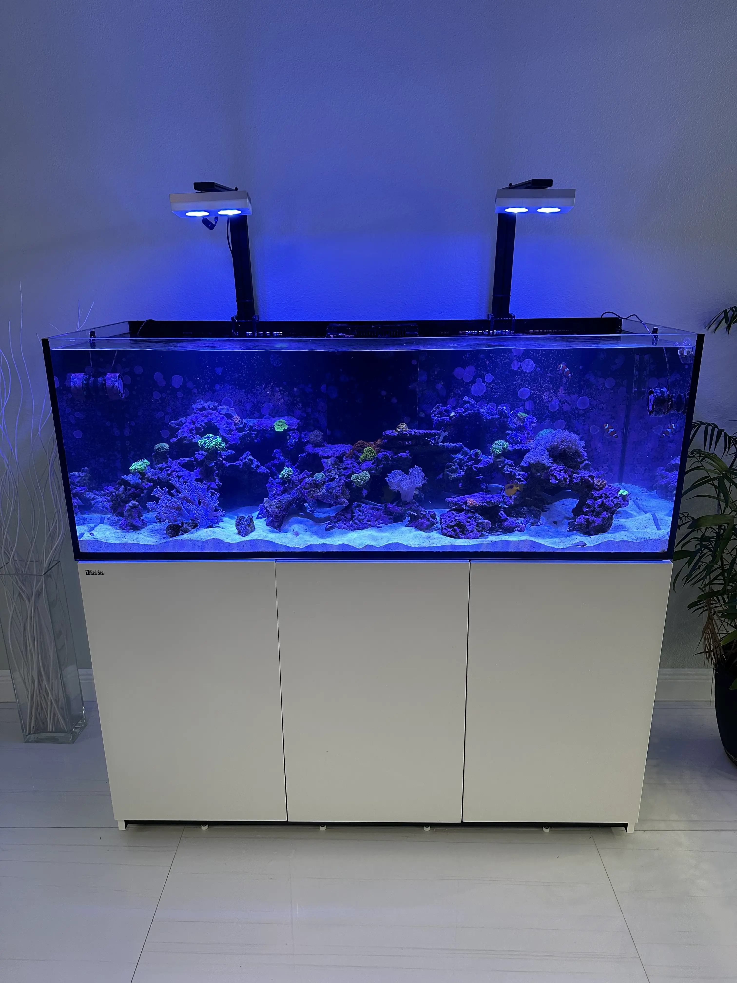 Technician discussing aquarium condition and care advice with a client