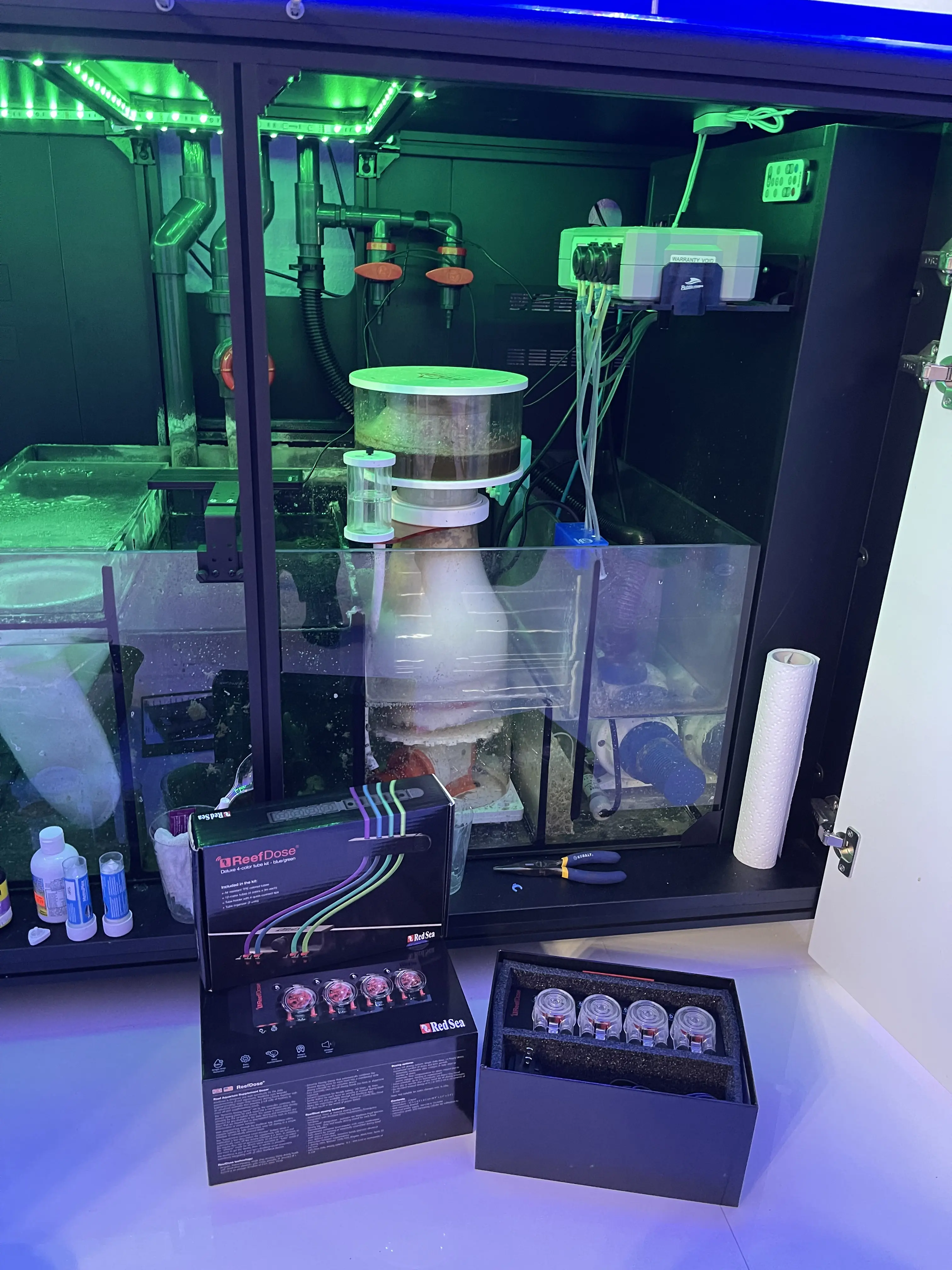 Technician standing in front of a fish tank performing an aquarium quality assessment